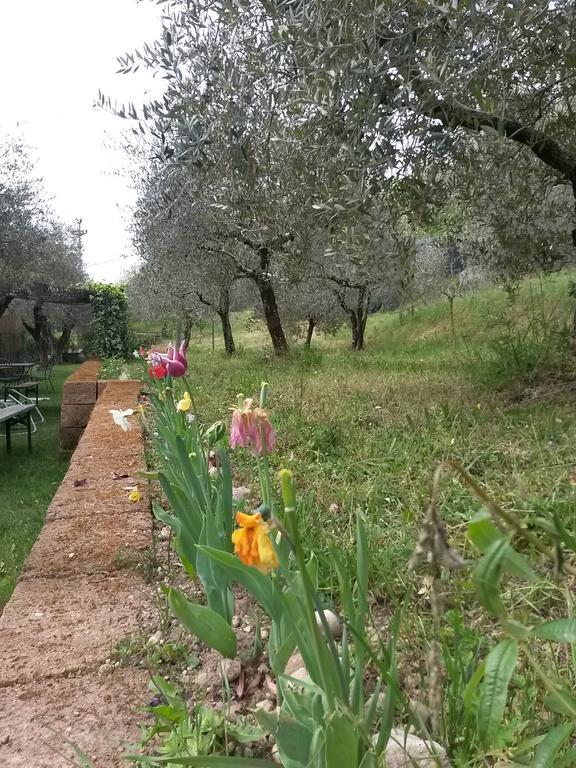 Agriturismo Camparella Пастренґо Екстер'єр фото