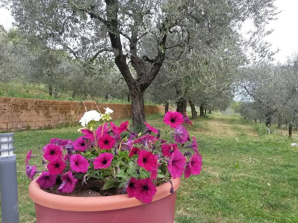 Agriturismo Camparella Пастренґо Екстер'єр фото